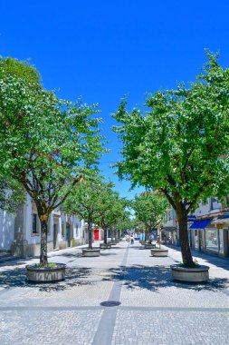 Portekiz, Braga 'nın renkli binaları arasında bir cadde.