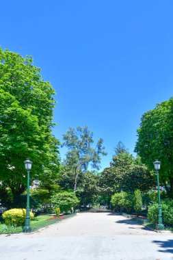 Vigo 'da halka açık bir parkta ağaçlarla kaplı bir cadde, İspanya' da bir şehir..
