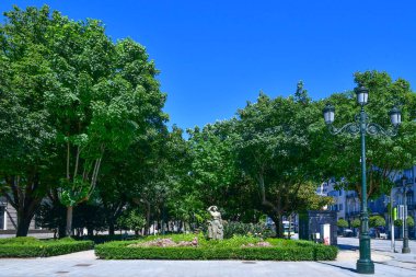 Vigo 'da halka açık bir parkta ağaçlarla kaplı bir cadde, İspanya' da bir şehir..