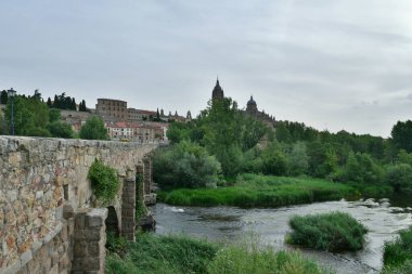İspanya 'nın tarihi kenti Salamanca' daki halk parkının üzerinde şafak vakti gökyüzü..