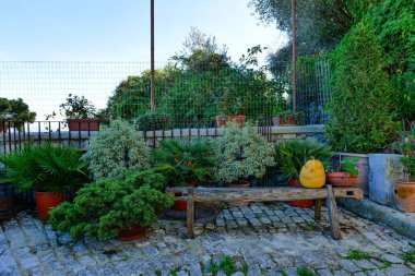 İtalyan köyünün dar sokaklarında Cadılar Bayramı balkabakları.
