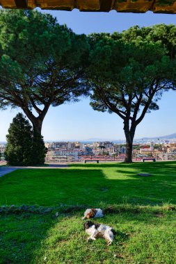 İtalya 'nın Castellammare di Stabia kentindeki antik bir Roma villasının kalıntılarından manzara.