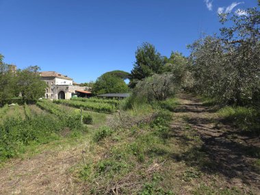 İtalya 'nın Napoli ilindeki Visciano Manastırı' nın ekili kırsal kesimi..