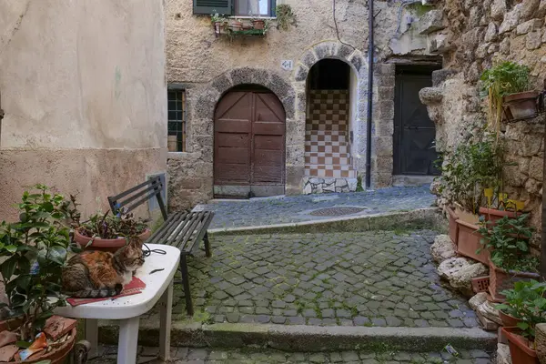 Guarcino sokakları, İtalya 'nın Frosinone eyaletinde antik bir kasaba..