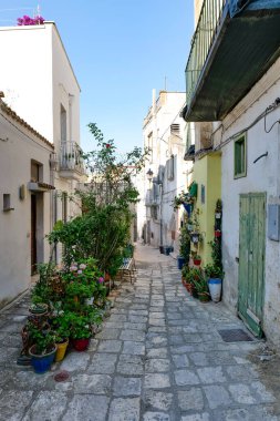 İtalya 'nın Matera ilindeki bir ortaçağ köyü olan Montescaglioso' nun eski evleri arasında bir yol..