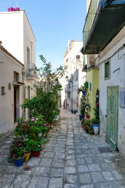 İtalya 'nın Matera ilindeki bir ortaçağ köyü olan Montescaglioso' nun eski evleri arasında bir yol..