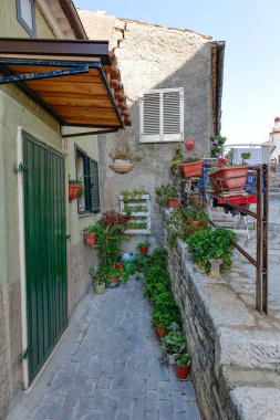 İtalya 'nın Molise şehrinde küçük bir köy olan Salcito' da çiçeklerle süslenmiş evler.