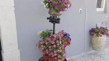 İtalya 'nın Campobasso ilinde küçük bir kasaba olan Salcito' da eski bir evin önünde çiçeklerle süslenmiş eşyalar..