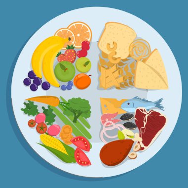 Healthy plate vector isolated. Inforgaphic of a proper diet, healthy nutrition. Balanced, full of protein, fruits and vegetables diet. Educational information