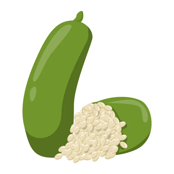 Διανυσματικό Ασβέστη Απομονώθηκε Εικονογράφηση Εξωτικών Εσπεριδοειδών Πράσινα Φρούτα Υγιεινό Ζουμερό — Διανυσματικό Αρχείο