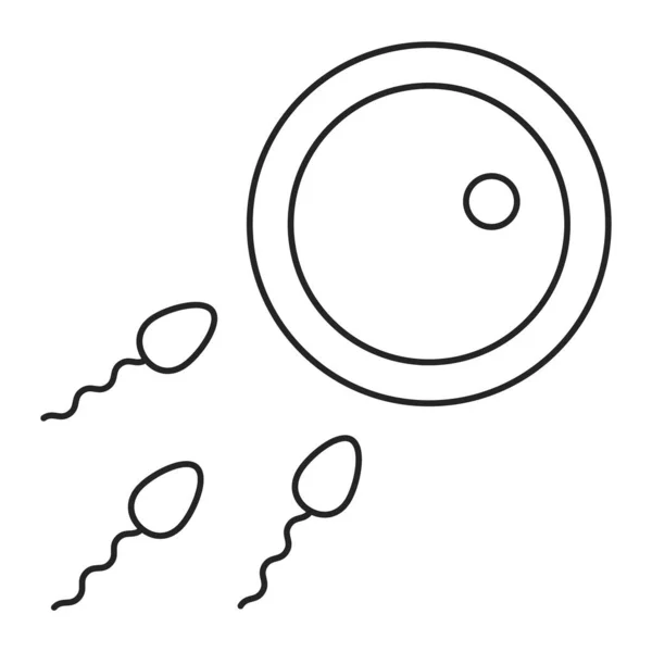 Spermatozoon Oplodňuje Izolovaný Vektor Ikon Vajíčka Proces Hnojení Řádkový Symbol — Stockový vektor