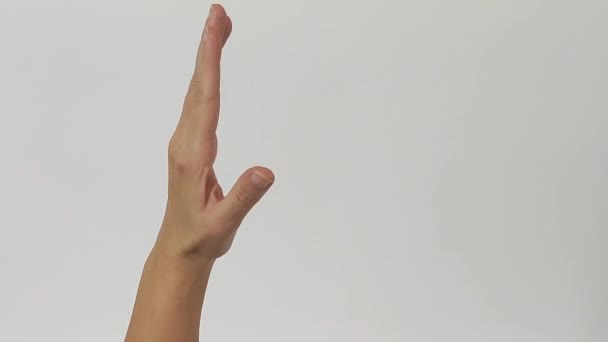 Hand Gesture Brev Alfabetet Eller Noll Vit Skärm Bakgrund — Stockvideo