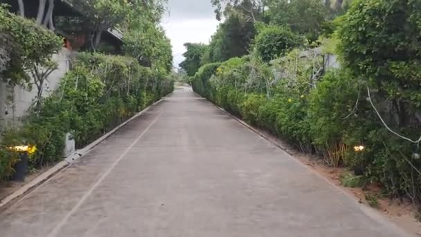 Longue Passerelle Grands Buissons Flanquant Les Côtés — Video