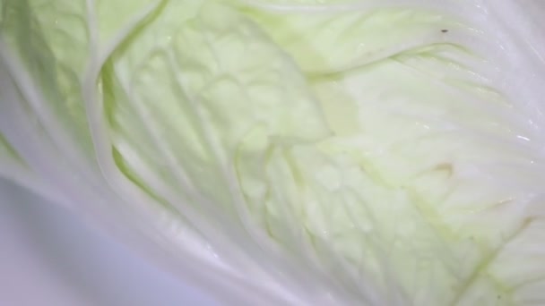 Grön Kål Rotation Alfa Kanal Grönsaksväxter — Stockvideo