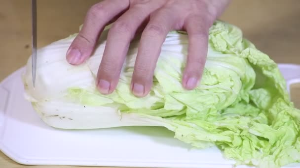 在厨房的切菜板上切大白菜 新鲜沙拉配料 — 图库视频影像