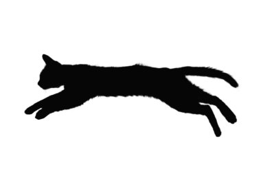 Kediler silueti, beyaz arka planda, soyutlanmış,