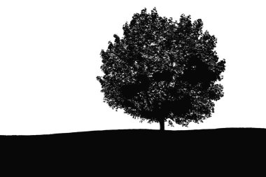 Ağaç silueti. Büyük ağaç silueti. Meşe ağacı silueti. Siyah meşe ağacı beyaz arka planda izole edilmiş. Ağaçları kes. El yapımı tasarım. vektör illüstrasyonu