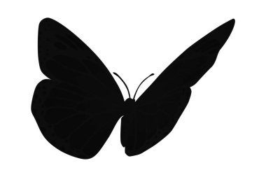 Kelebek Siluet Vektör Resimleri Beyaz Arkaplan