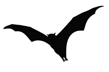 Beyaz arkaplanda siyah yarasa siluetleri