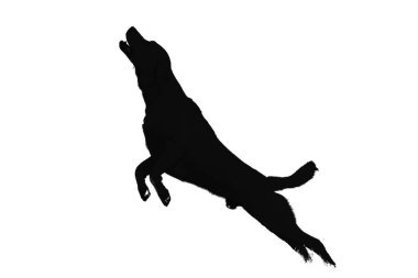Köpek silueti. Beyaz arka planda köpeğin vektör silueti. Siyah köpek beyaz arka planda izole edilmiş. Kes şunu. El yapımı tasarım. vektör illüstrasyonu