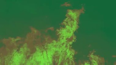 Yüksek kaliteli animasyon yeşil ekran ateşleyin, ben iyi bir fotoğrafçıyım, Yüksek çözünürlüklü ve kaliteli çok fazla animasyonum ve animasyonum var..