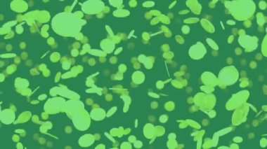 Yeşil ekran krom anahtar üzerinde çok sayıda bozuk para arka planda 33d animasyon para yeşil ekran 4K video üzerine düşüş