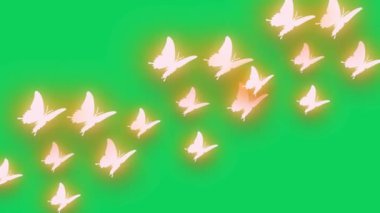 Kelebekler Uçan Animasyon yeşil ekran video. 4k animasyon