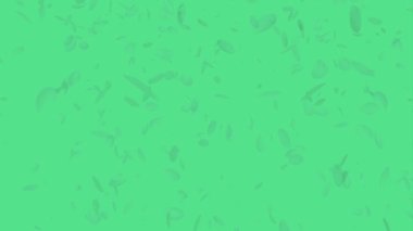 Havada uçuşan pembe gül yaprakları izole edilmiş yeşil ekran