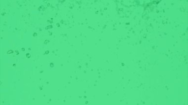 Sıvı su sıçraması şekil animasyonudur. 4K Yeşil Ekran arkaplanı