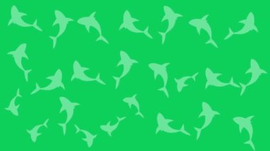 Köpekbalığı yeşil ekran krom anahtarı.