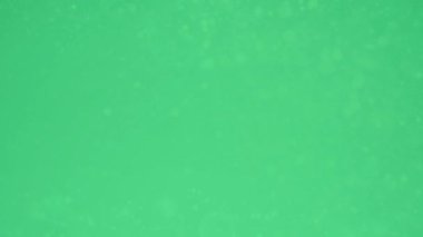 Starlight Sparkles Green Screen Overlay, yeşil ekran arkaplanının video ögesi, Ultra High definition, 4k video, yeşil ekran arkaplanı. (1)