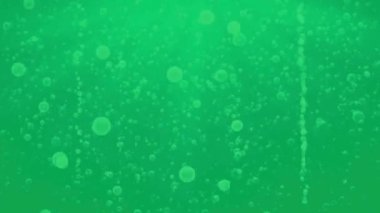 Yeşil Ekrandaki Gerçekçi Kabarcık Animasyonu, canlı gibi yüzen baloncukların yer aldığı yüksek çözünürlüklü 4K video..