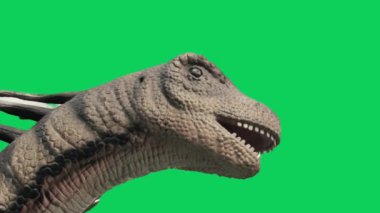 Dinozor Yeşil Ekran Krom Anahtarı