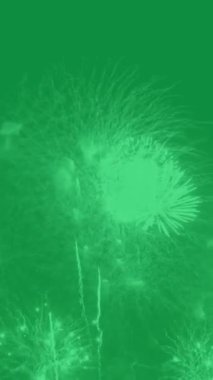 Beyaz Ateş Çalışması Yeşil Ekran Binası 'nda Yeni Çalışma Gecesi Partisini, Yeşil Ekran Arkaplanı Üzerinde Beyaz Ateş Çalışma Animasyonunu Etkilendirdi.