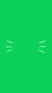 Yeşil ekran arkaplanlı Hareket grafiklerinin altını çiz. Açılır kapanır çizgi animasyon elemanı. Flash FX Elementleri ve Geçiş Harika Hareket Grafikleri. Bir Alfa kanalı dahil.