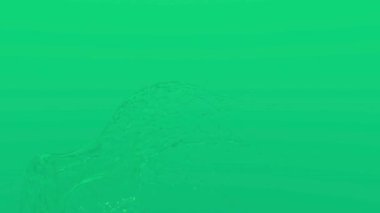 Yeşil ekrandaki su sıçramasının yüksek kaliteli videosu.