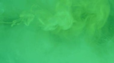 Yeşil ekranda soyut renkli mürekkep ve dumanın yüksek kaliteli videosu.