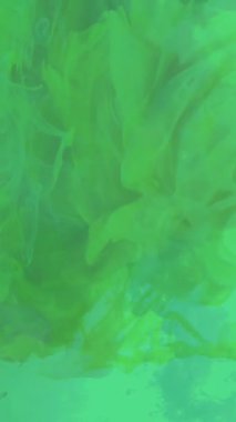 Yeşil ekranda soyut renkli mürekkep ve dumanın yüksek kaliteli videosu.