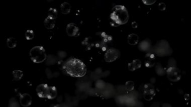 Kara Arkaplanda Kabarcık Dalgalanması, 4k, döngü