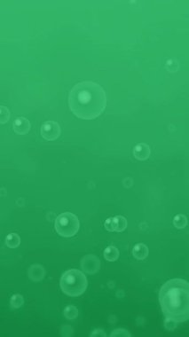 Yeşil ekran sabun köpükleri döngü animasyonu, su kabarcıkları, şeffaf baloncuk, 4K