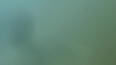 4k yeşil renk gradyan arkaplanı