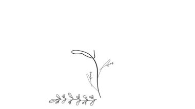Sürekli tek bir çizginin animasyon çizimi minimalist güzelliği kendine çeker taze çiçek. Posterler için çiçek konsepti, duvar resimleri, çanta, cep telefonu, tişört baskısı. Tam uzunluktaki bir çizgi canlandırması.