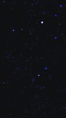 Siyah Arkaplan Yüksek Kalitesiz Hareketli Güçlü Patlama Animasyonu