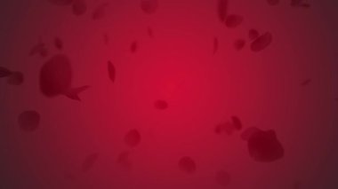 Koyu Kırmızı Gradyan Arkaplanda Havadaki Zarif Gül Yaprakları