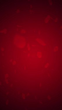 Koyu Kırmızı Arkaplan Hareketi Videosunda Yüzen Kırmızı Gül Yaprakları