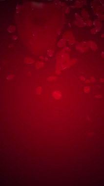 Koyu Kırmızı Arkaplan Hareketi Videosunda Yüzen Kırmızı Gül Yaprakları