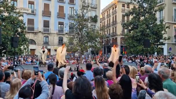 2023年5月3日 スペインのアンダルシア州グラナダ プロのダンサーのグループは 十字架の日にグラナダのプラザ Ayuntamientoでフラメンカを踊ります 市内の伝統的な祭り — ストック動画