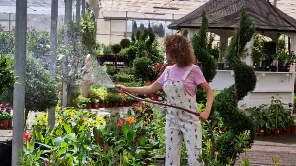 Młoda Kręcone Włosy Kobieta Pracownik Żłobka Podlewanie Roślin Pełne Kwiatów — Wideo stockowe