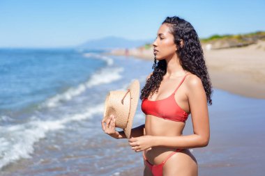 Kırmızı bikinili ve hasır şapkalı güzel bir kadın, sıcak güneşin ve okyanus dalgalarının rahatlatıcı seslerinin tadını çıkarırken, yaz mutluluğunu somutlaştıran altın kıyı şeridinde güven içinde duruyor.