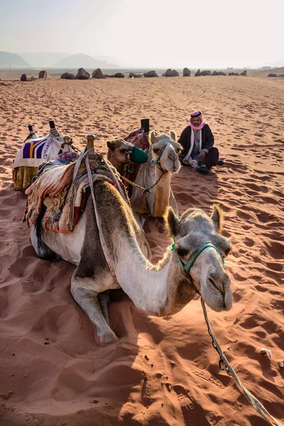 Wadi Rum Jordan October 2022 Riding Camels Bedouin Guide Desert — 스톡 사진